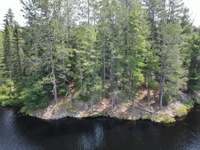 $450,000 | Tbd Holm Logging Road, Orr, MN 55771