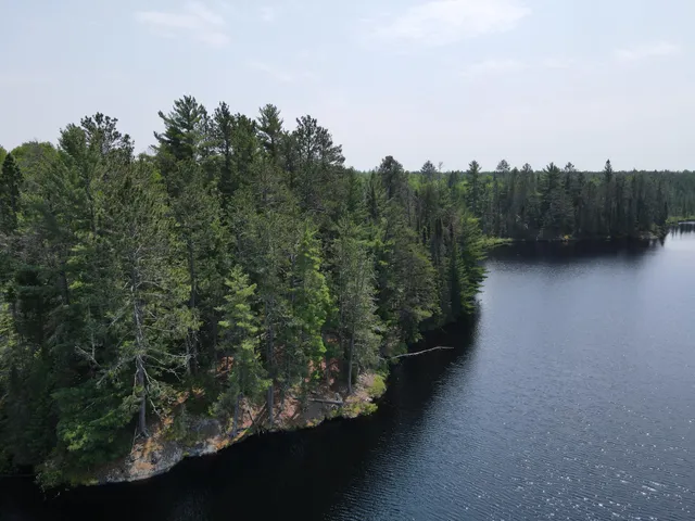 $450,000 | Tbd Holm Logging Road, Orr, MN 55771