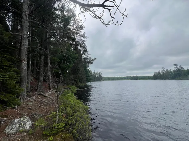 $450,000 | Tbd Holm Logging Road, Orr, MN 55771