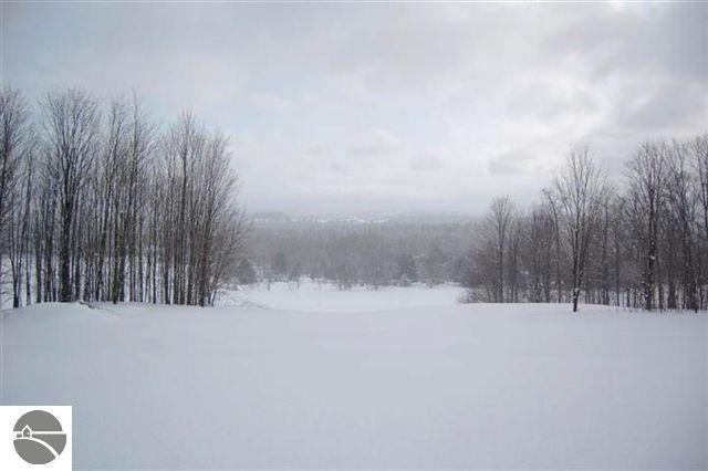 1744 East Darga Road Cedar, MI 49621 - Photo 23 of 25 1725979-22.JPG