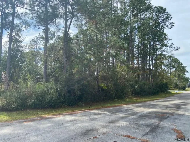 a view of backyard with green space