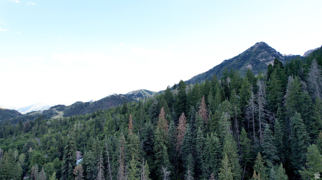 3 Sundance Rec Resort, Unit 3 Provo, UT 84604 - Photo 11 of 30 Mountainous terrain with dense evergreen forest. Summer time.