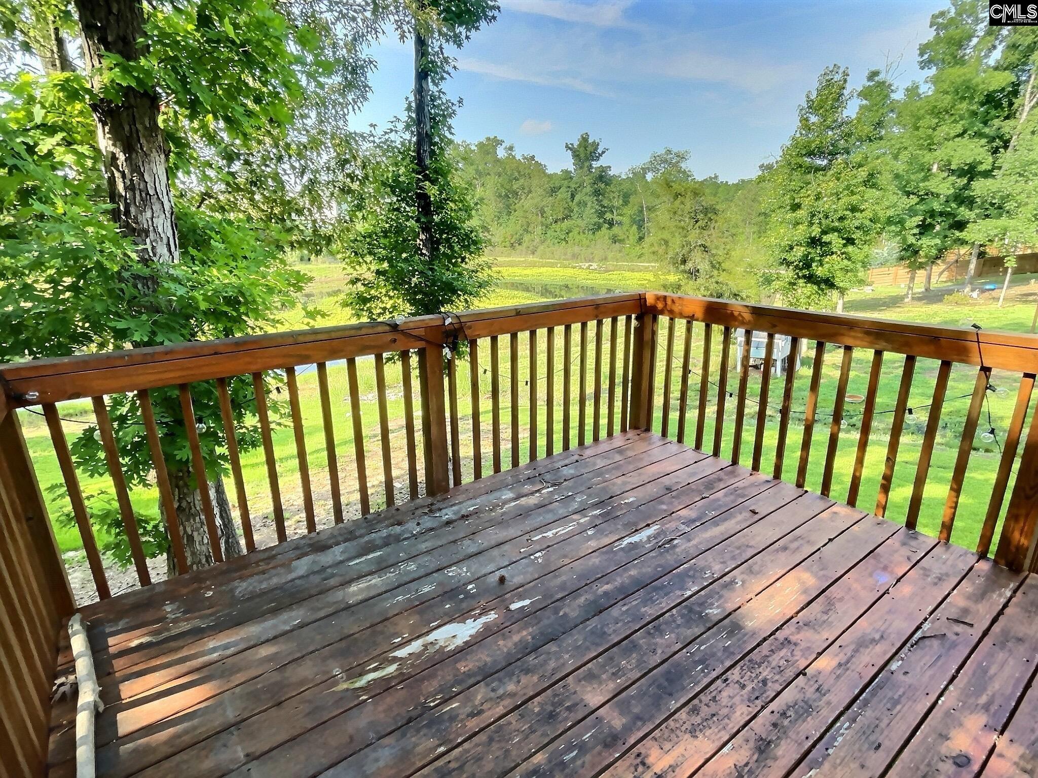 343 Limestone Road Chapin, SC 29036 - Photo 27 of 31