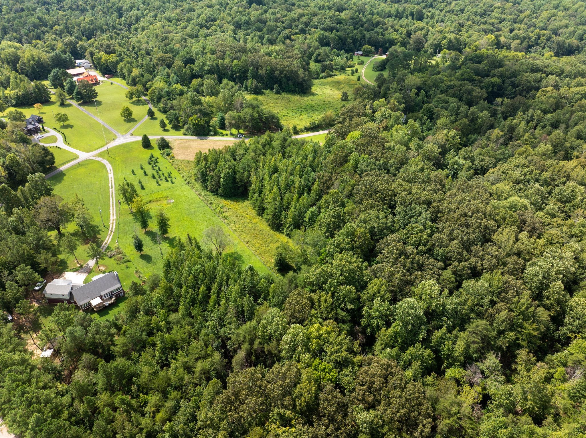 0 Jordan Road Chapmansboro, TN 37035 - Photo 11 of 14 a view of a garden