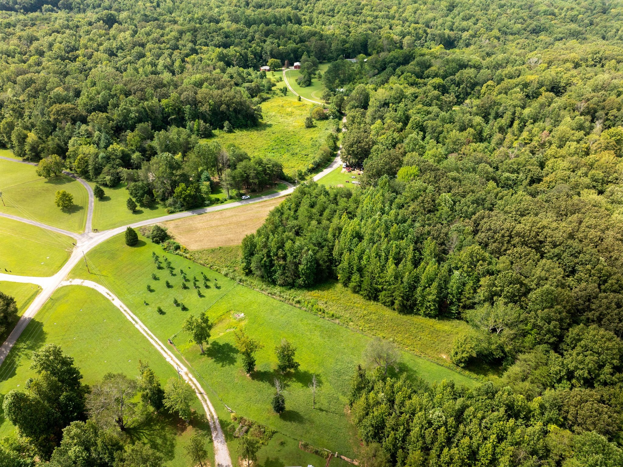 0 Jordan Road Chapmansboro, TN 37035 - Photo 12 of 14 a view of a garden