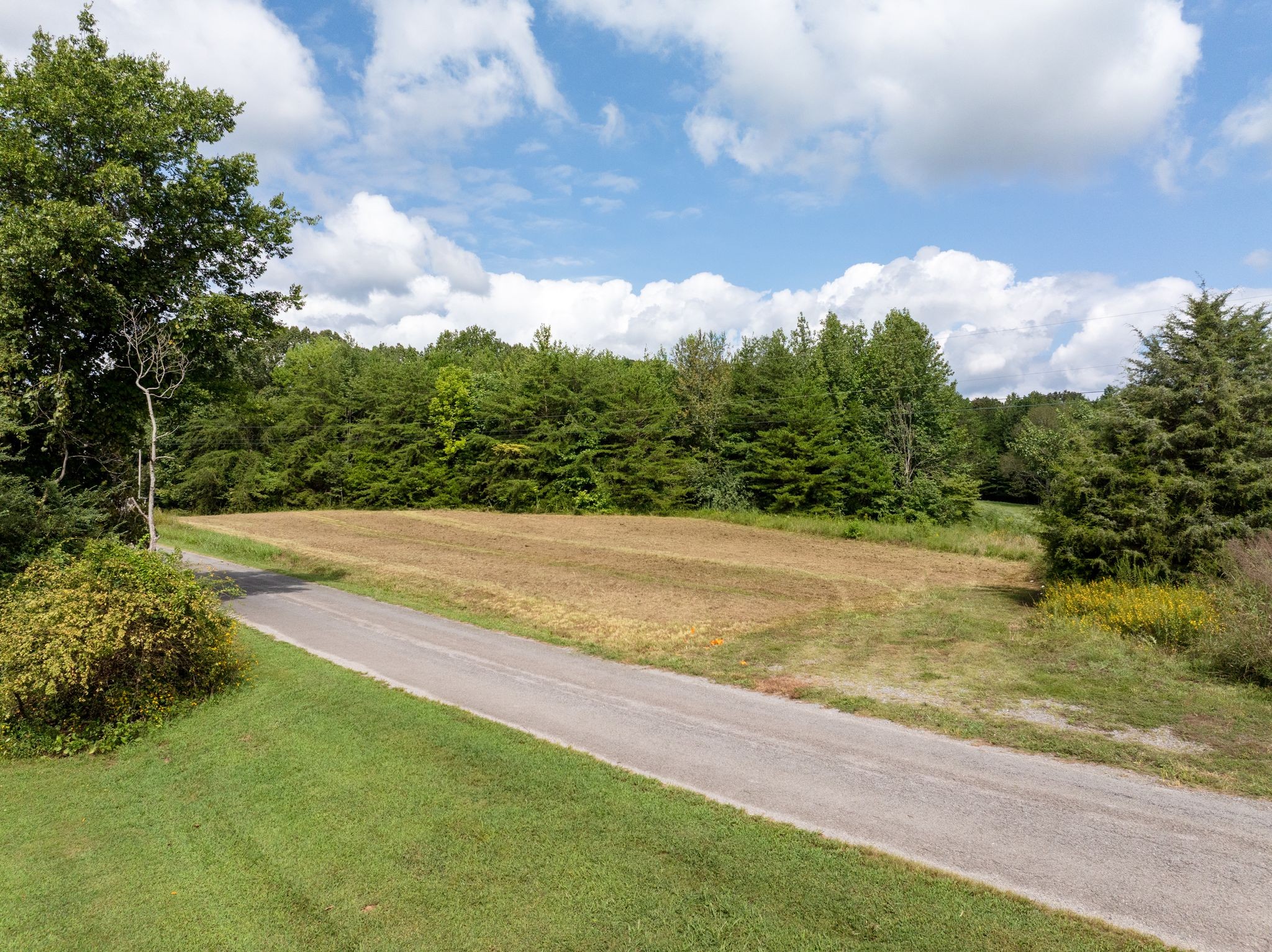 0 Jordan Road Chapmansboro, TN 37035 - Photo 2 of 14 a view of yard with swimming pool and green space