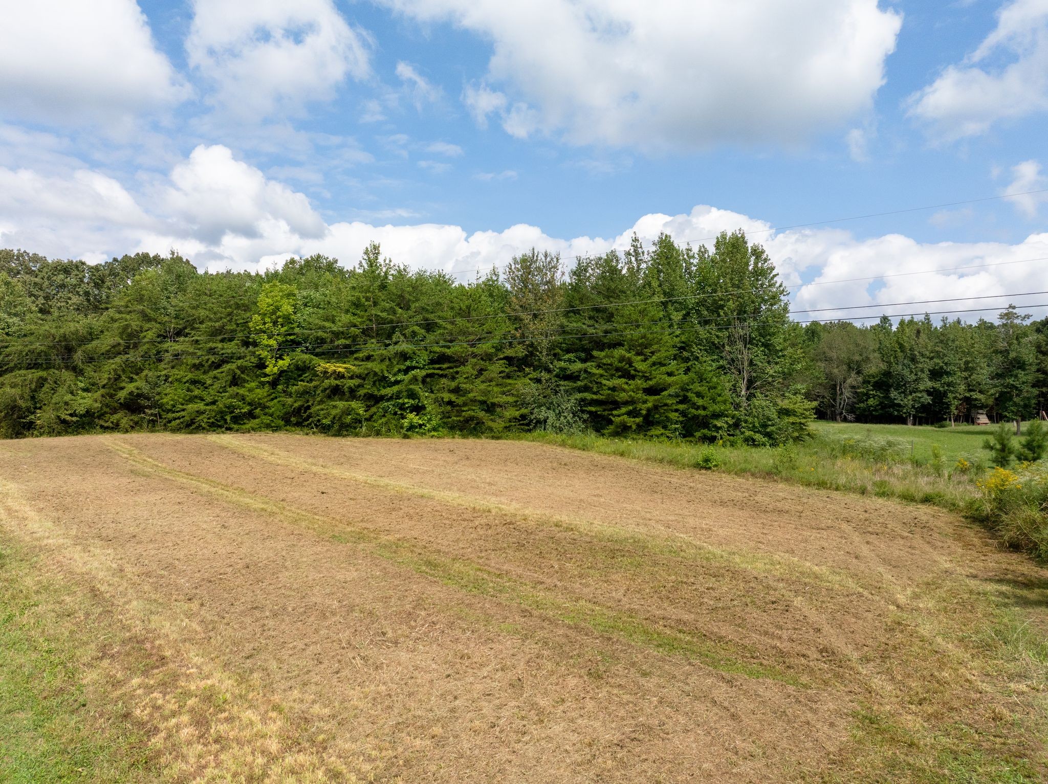 0 Jordan Road Chapmansboro, TN 37035 - Photo 3 of 14 a view of a yard with an trees