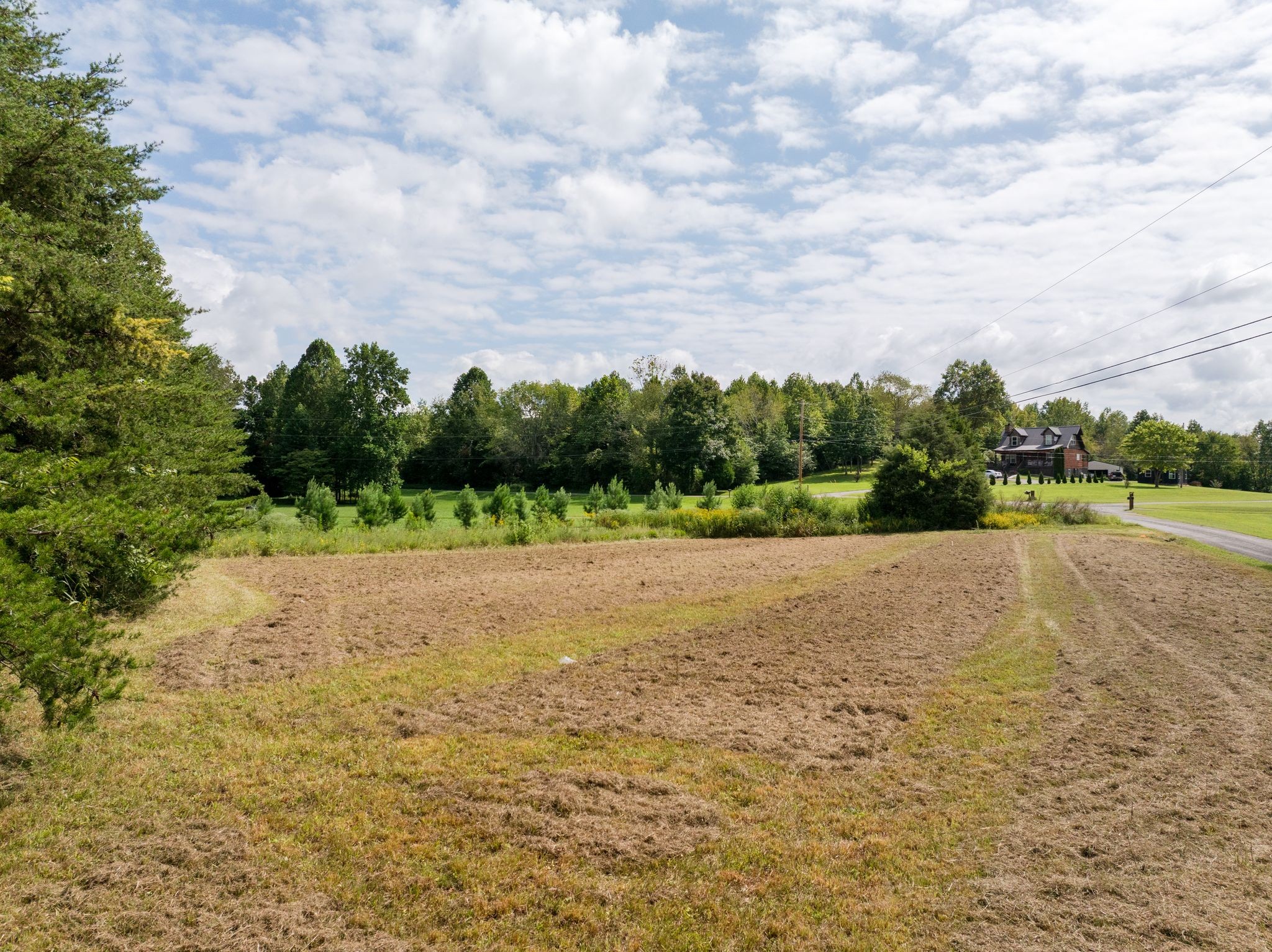0 Jordan Road Chapmansboro, TN 37035 - Photo 4 of 14 a view of a dry yard