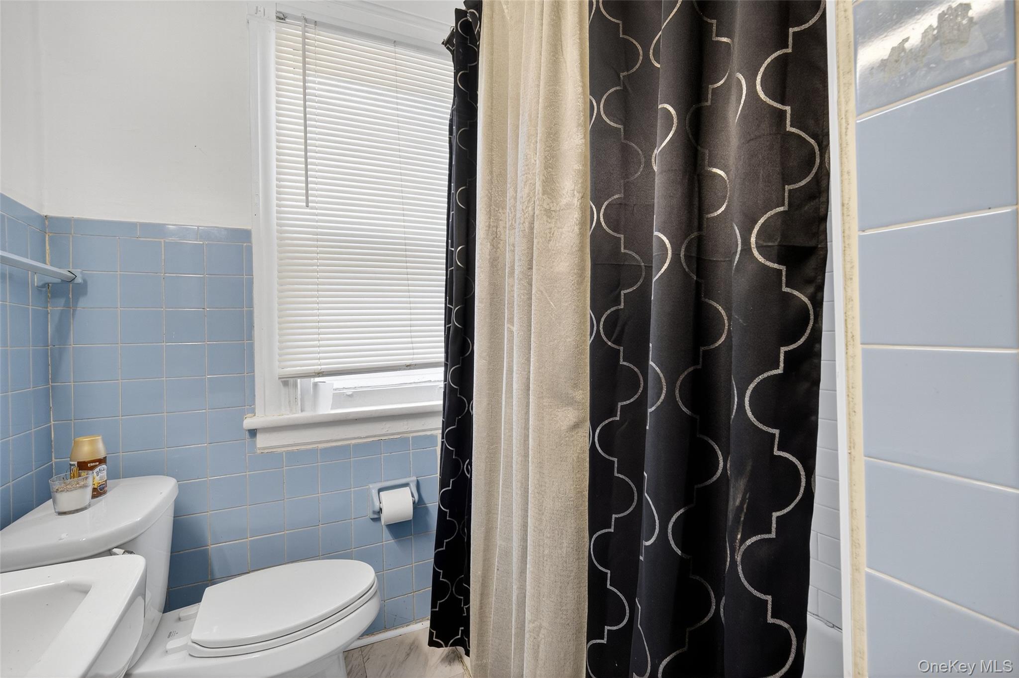 60 Lent Street Poughkeepsie, NY 12601 - Photo 9 of 16 a bathroom with a toilet and a shower curtain