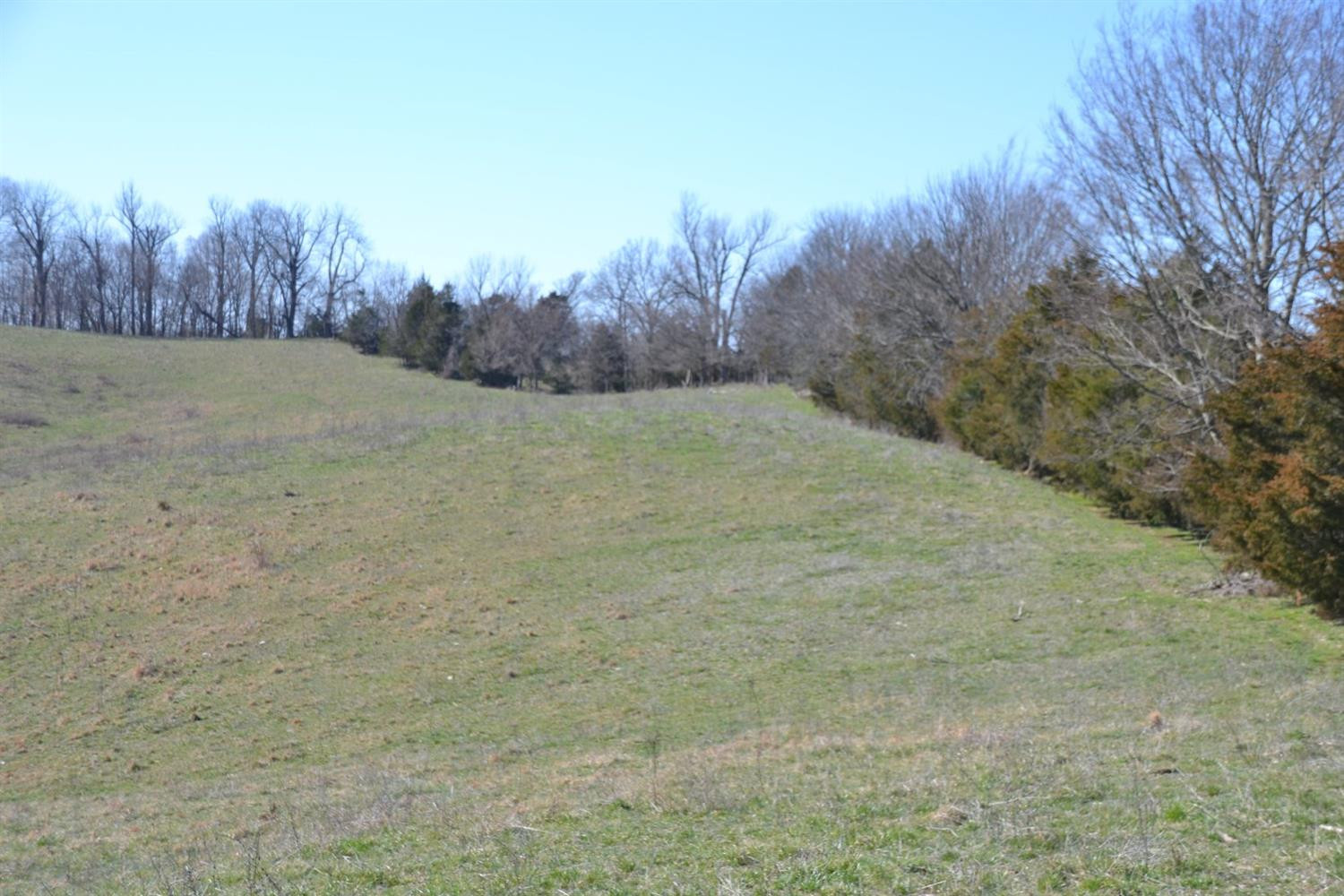 3251 Cocanougher Road Perryville, KY 40468 - Photo 4 of 16 Photo 4