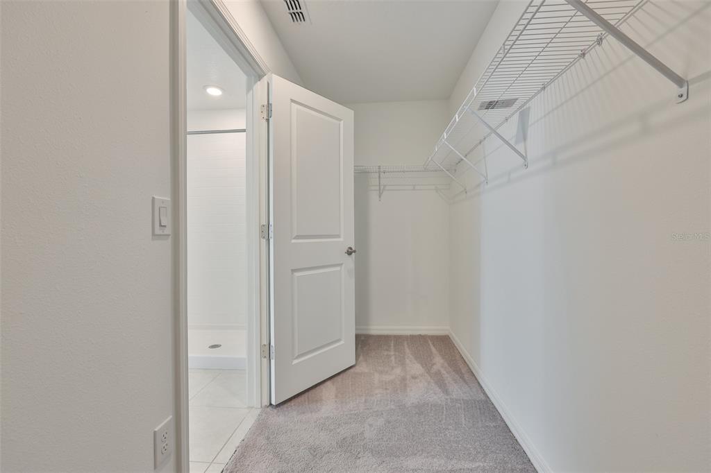 9913 Jackfruit Court Riverview, FL 33578 - Photo 29 of 57