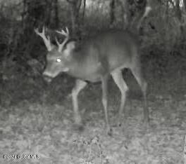 Lot 4.8 Burch Road Granville, NY 12832 - Photo 29 of 49 thumbnail_IMG_5547