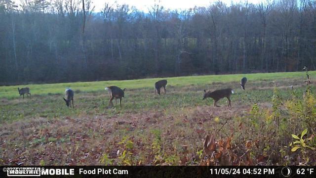 Lot 4.8 Burch Road Granville, NY 12832 - Photo 45 of 49 thumbnail_Temp_1505896-20241105215857-10
