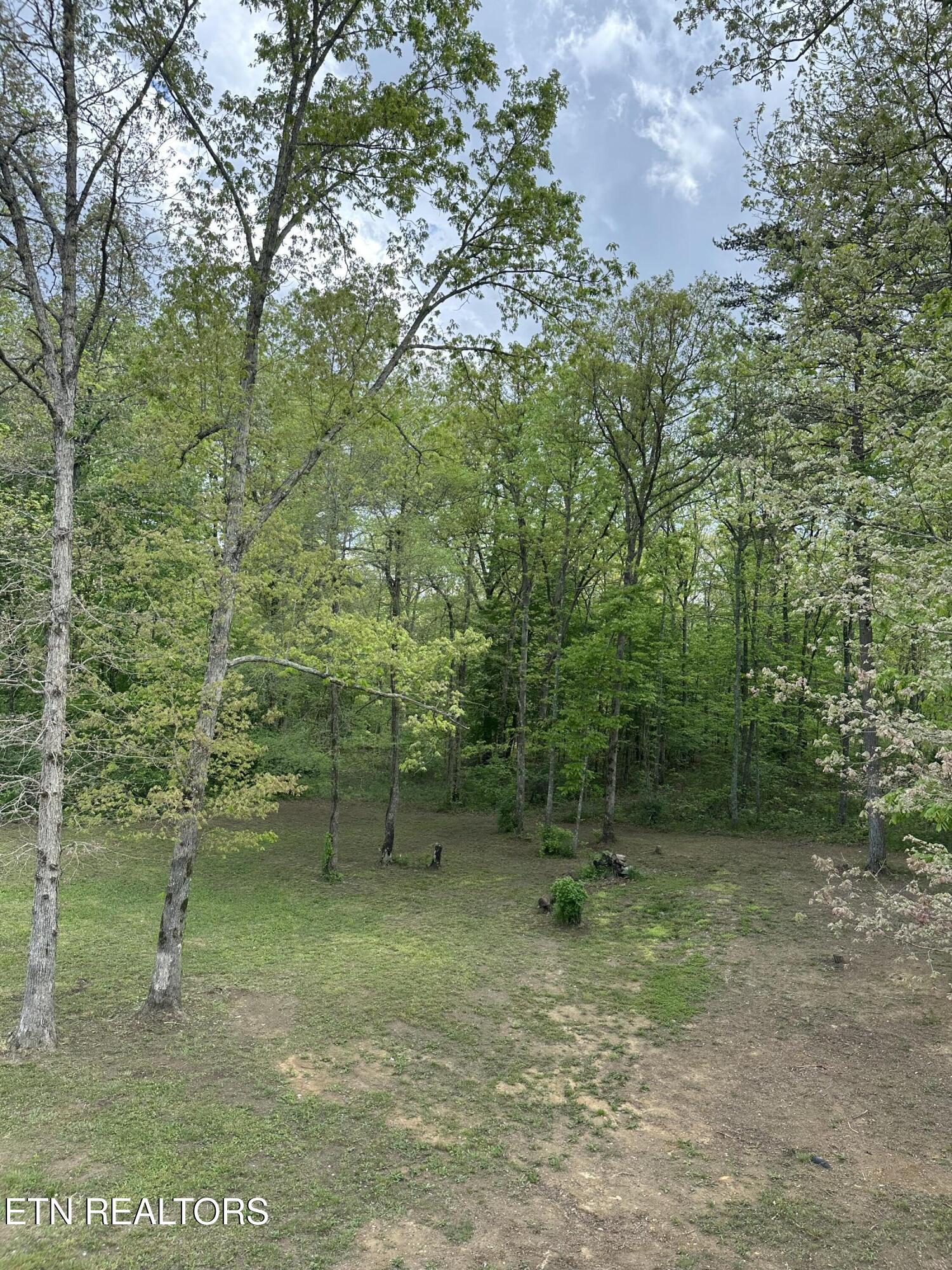 288 Ivey Road Crossville, TN 38571 - Photo 33 of 40 IMG_2427