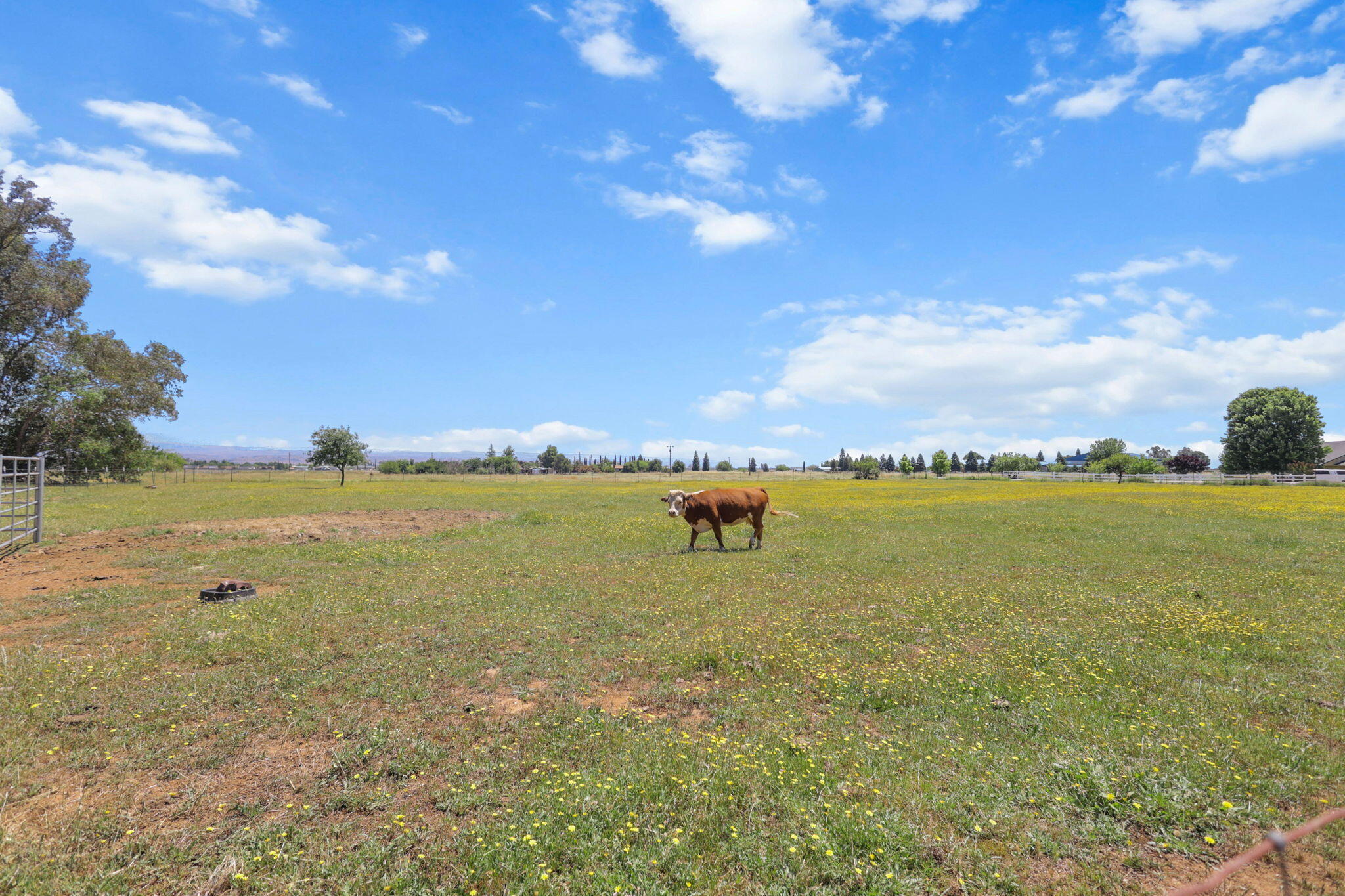 12481 Paskenta Road Red Bluff, CA 96080 - Photo 46 of 82 42-web-or-mls-8Q0A0291