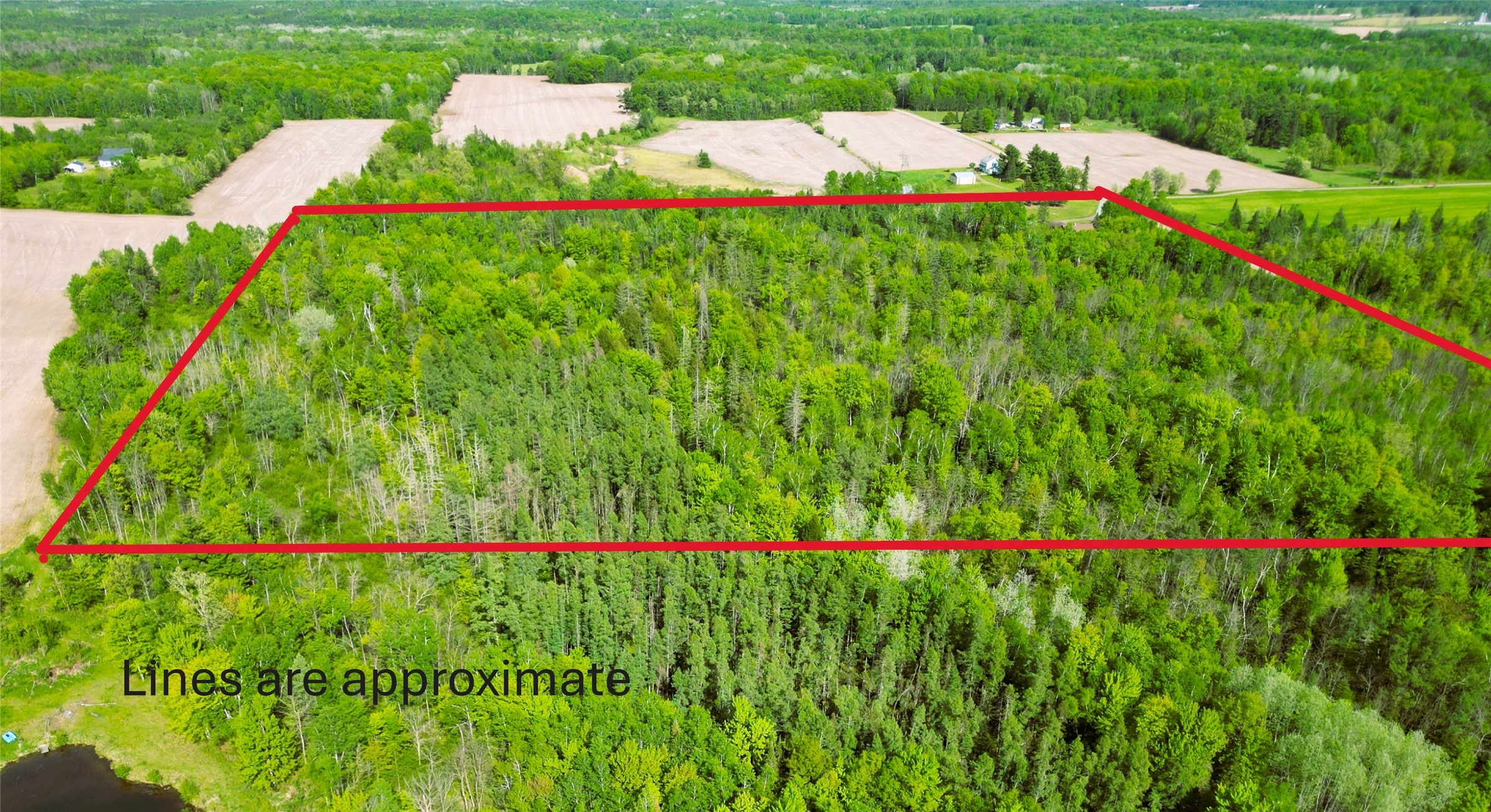 W9902 Flohr Road Ladysmith, WI 54848 - Photo 38 of 48