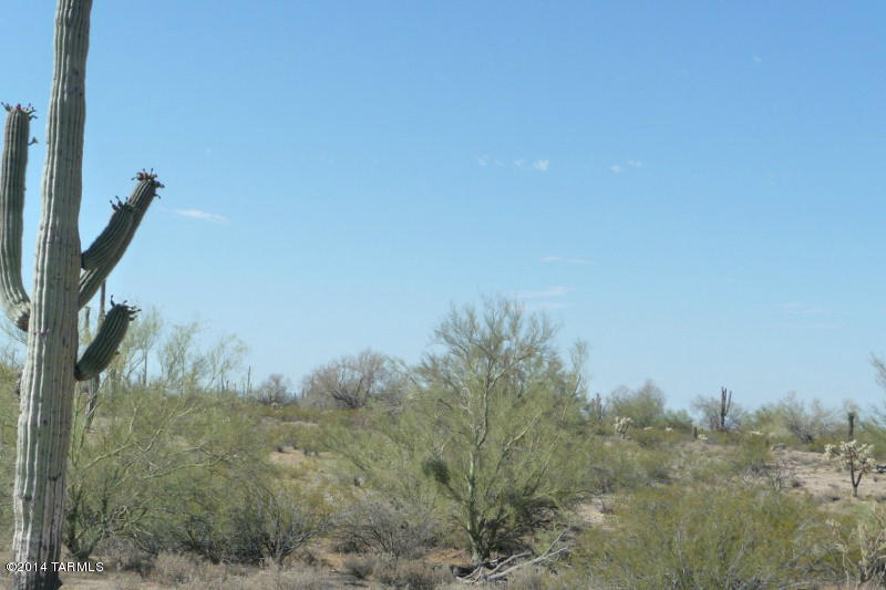 South Cattle Tank Road, Unit (40 AC) Marana, AZ 85658 - Photo 8 of 27 Gallery Image 8