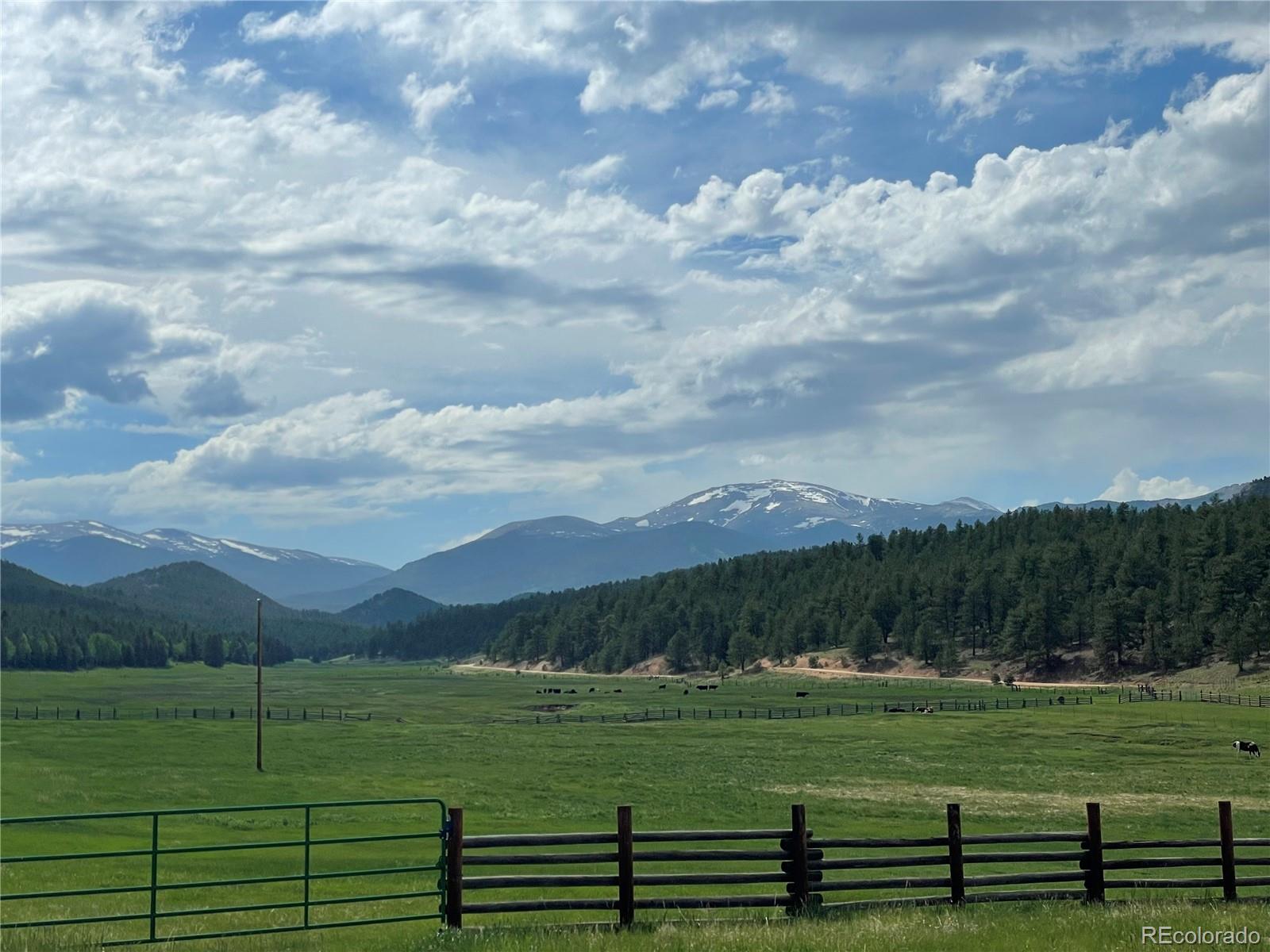 237 Rd B Pine, CO 80470 - Photo 39 of 41