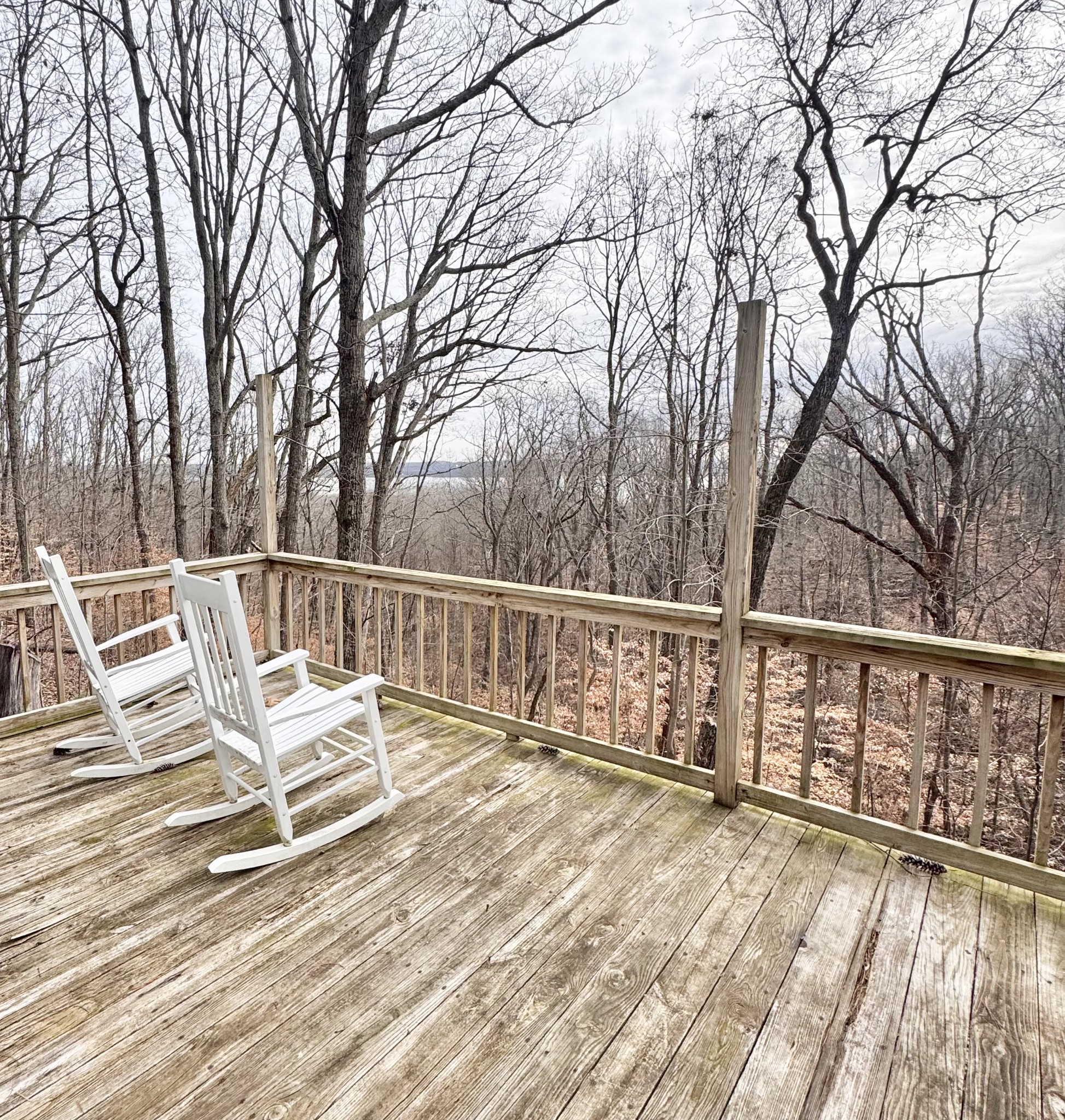 176 Grace Lane Eva, TN 38333 - Photo 4 of 20