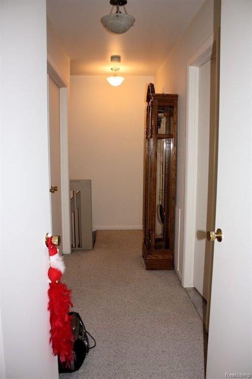 260 Minot Street Romeo, MI 48065 - Photo 6 of 9 Hallway.jpg