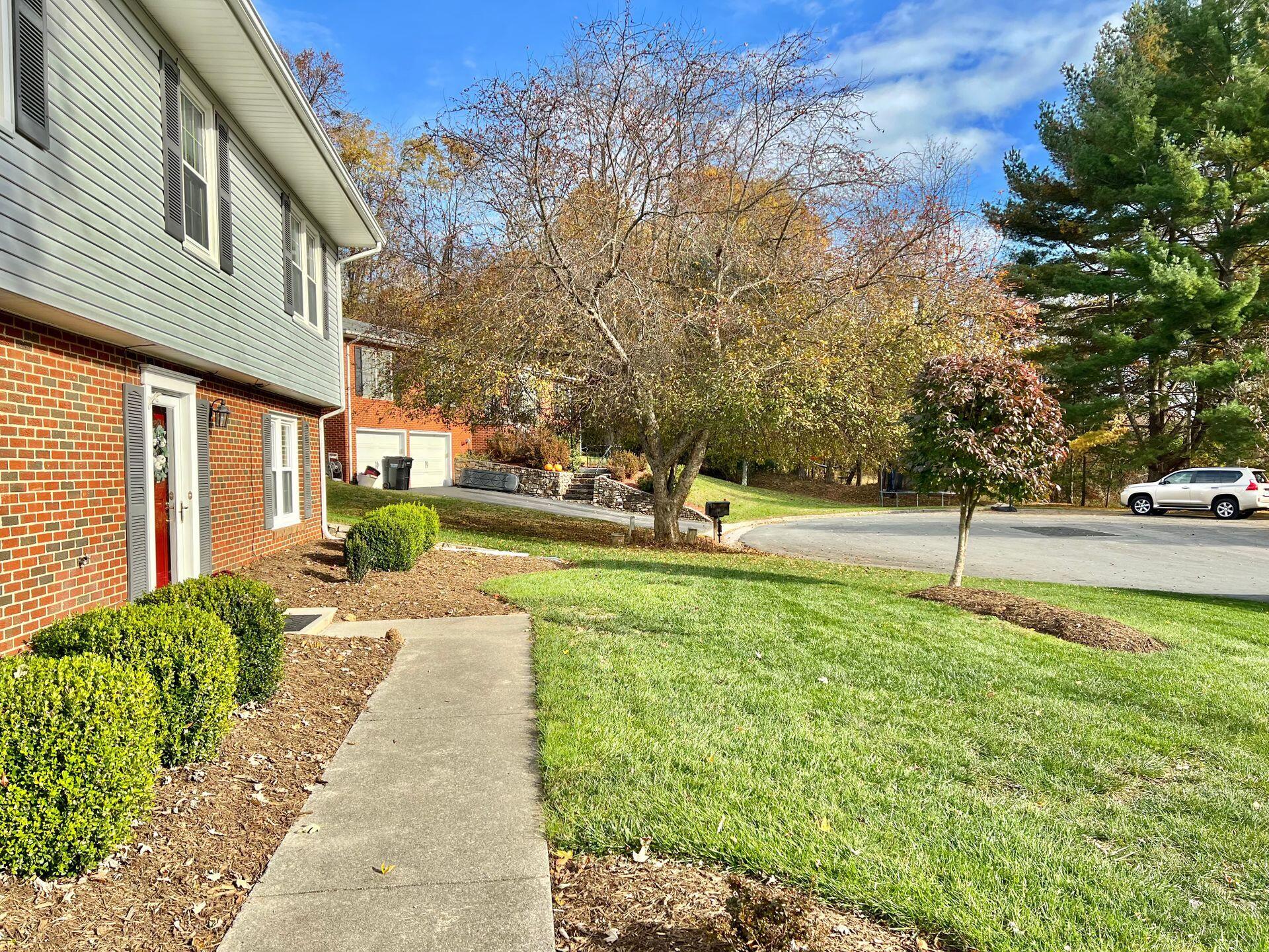 Level front yard