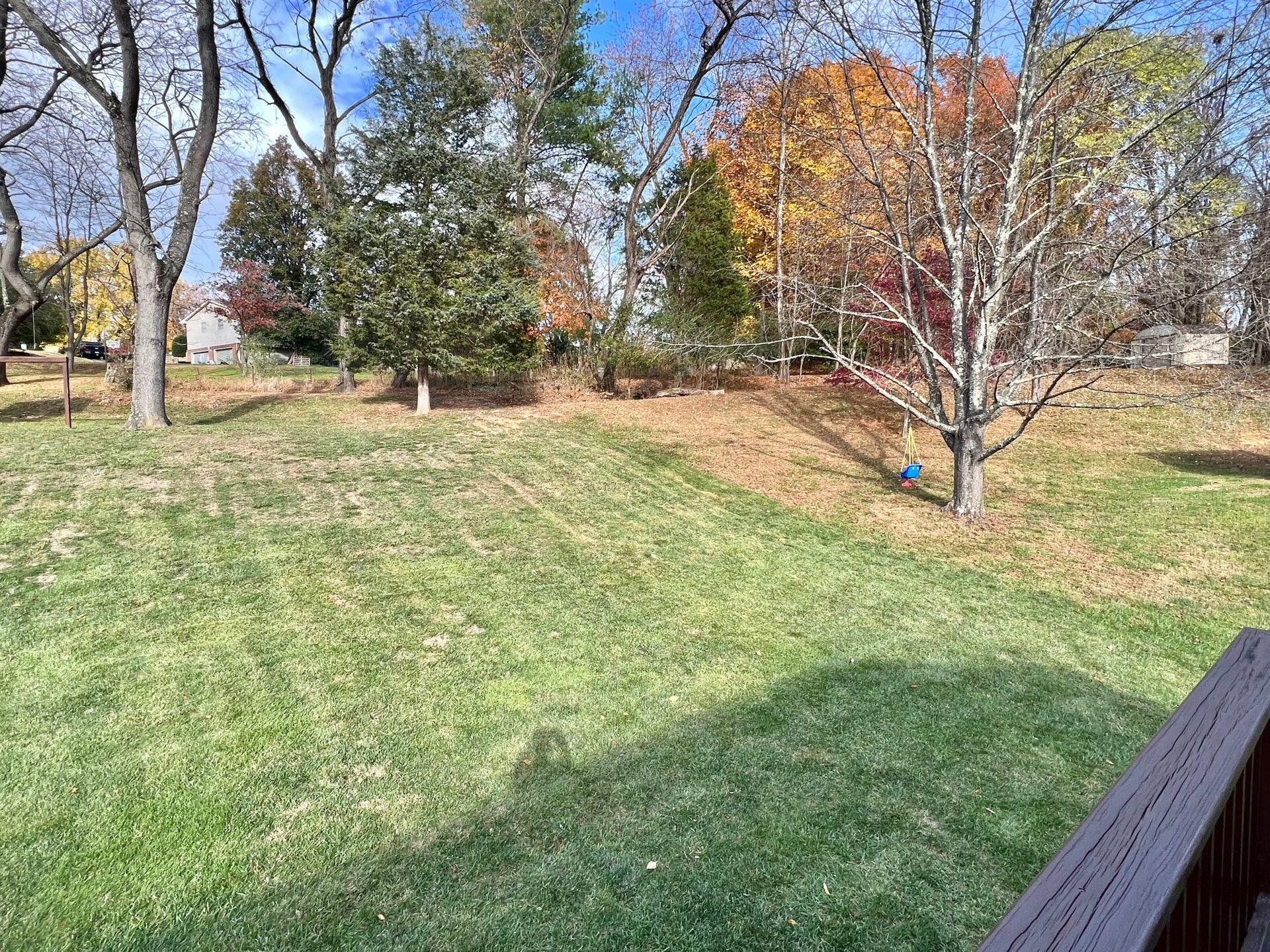 6580 Forest View Road Roanoke, VA 24018 - Photo 48 of 56 Great for kids,pets, & gatherings