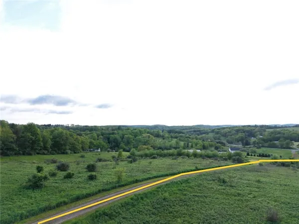 a view of a field with a big yard