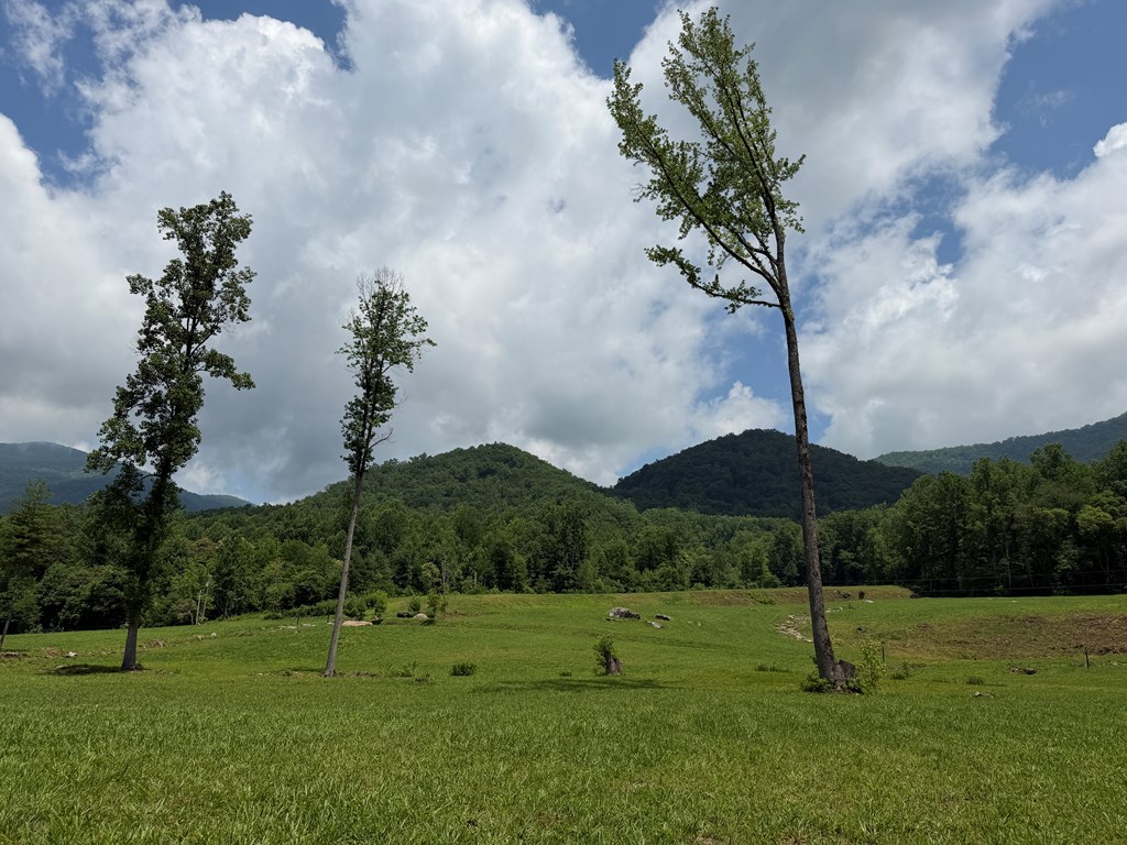 1446 Muskrat Creek Road Hayesville, NC 28904 - Photo 66 of 108