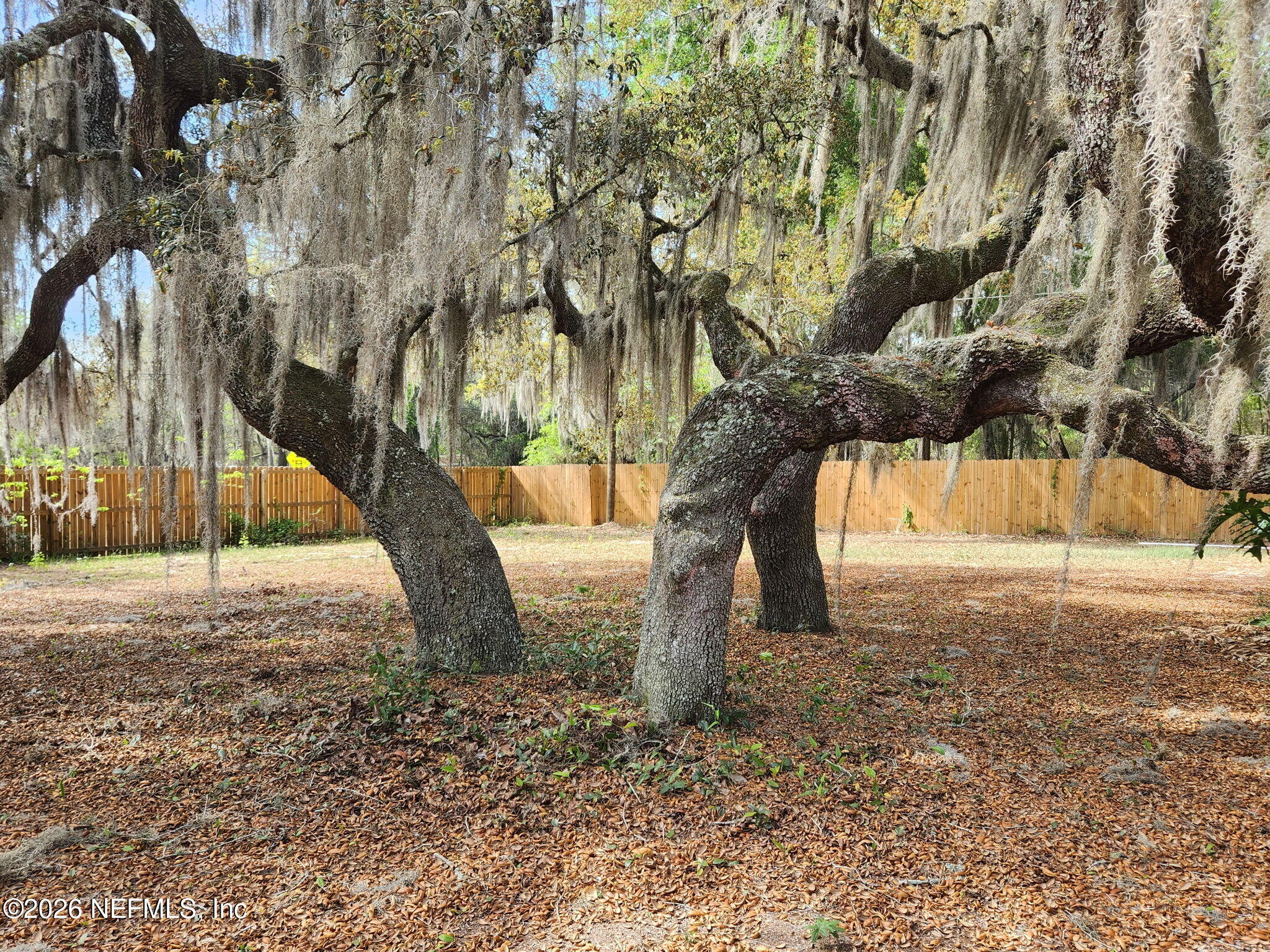 6960 Immokalee Road Keystone Heights, FL 32656 - Photo 6 of 49 1000012230