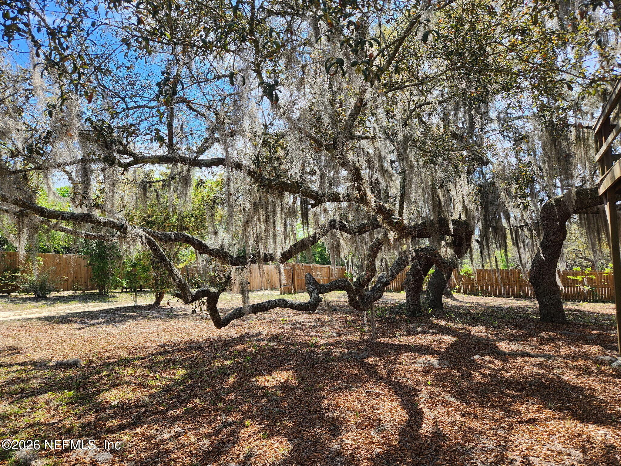 6960 Immokalee Road Keystone Heights, FL 32656 - Photo 9 of 49 1000012222