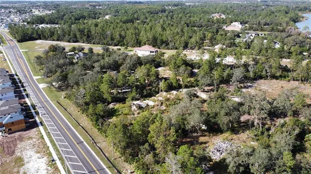 a view of a forest from a balcony