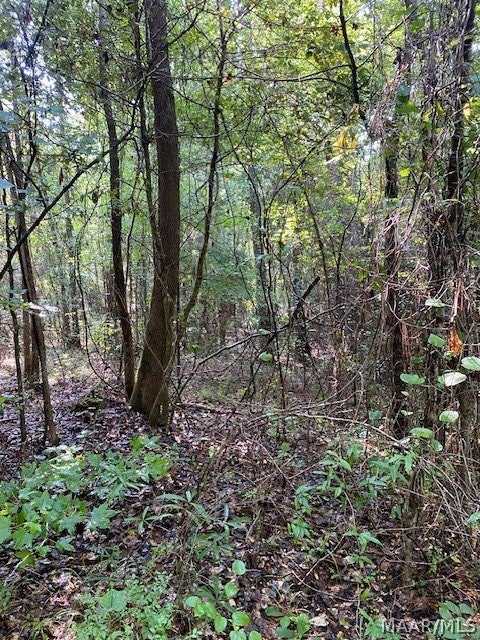 381 Hooks Road Shorter, AL 36075 - Photo 14 of 14 Gallery Image 14