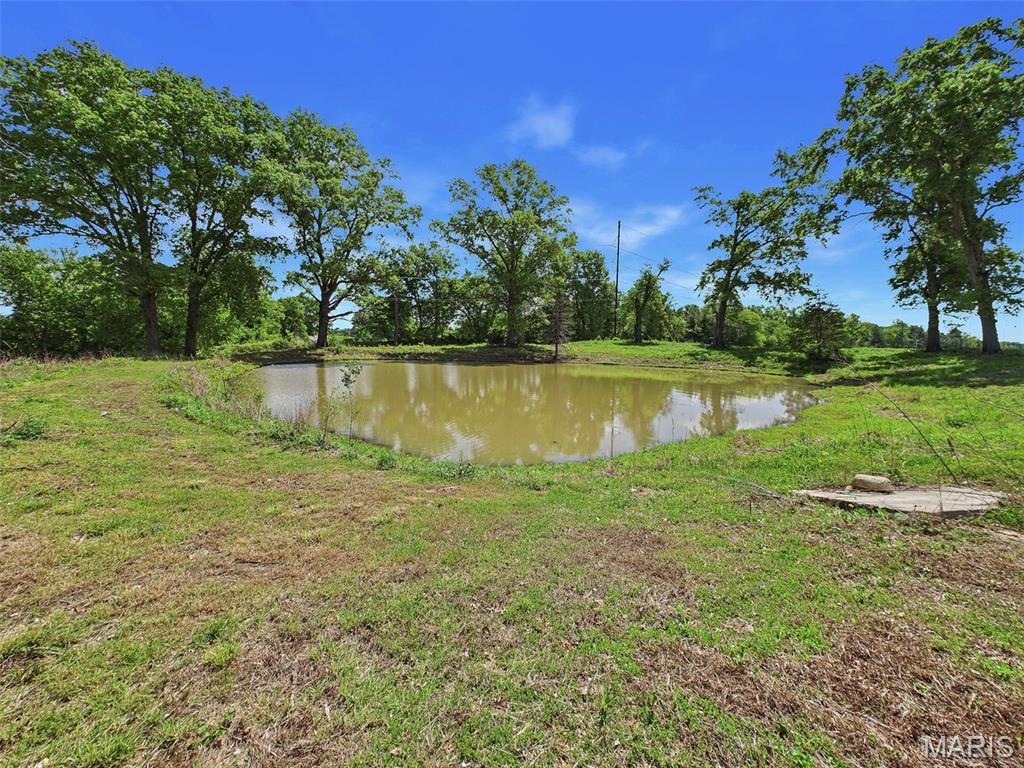 3941 Freeburg Rod And Gun Club Road New Athens, IL 62264 - Photo 34 of 48