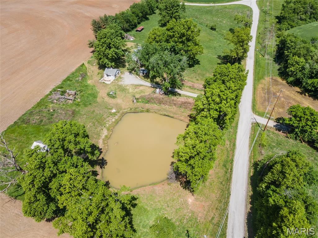 3941 Freeburg Rod And Gun Club Road New Athens, IL 62264 - Photo 45 of 48