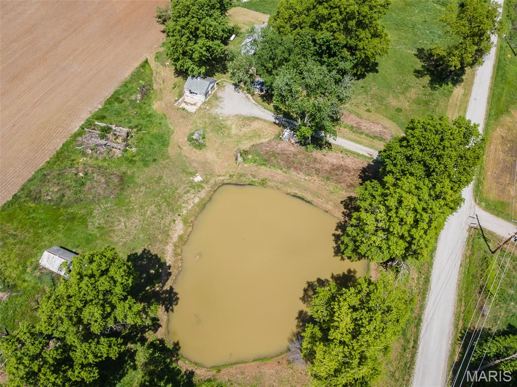 3941 Freeburg Rod And Gun Club Road New Athens, IL 62264 - Photo 46 of 48
