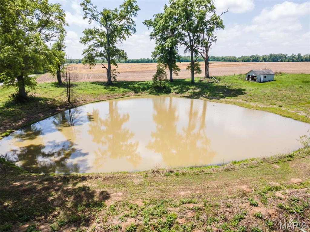 3941 Freeburg Rod And Gun Club Road New Athens, IL 62264 - Photo 48 of 48