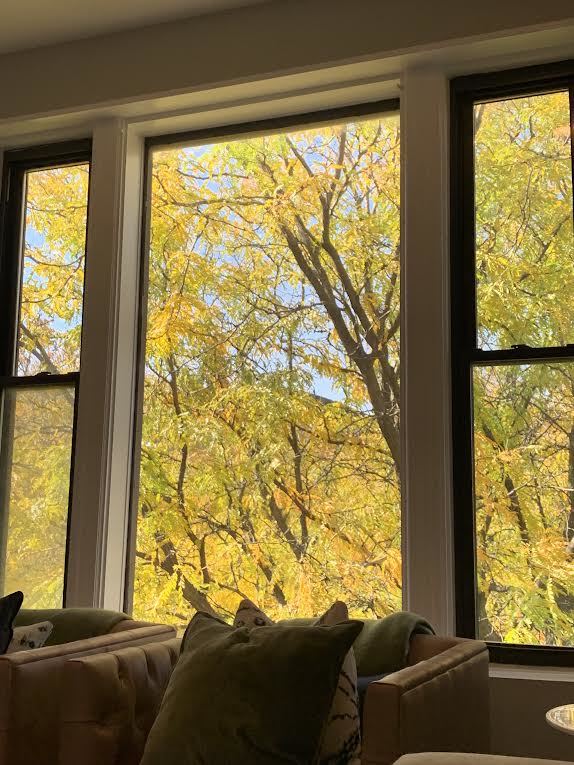 1545 North Claremont Avenue, Unit 2 Chicago, IL 60622 - Photo 13 of 13 a living room with couches and a large window with rug view
