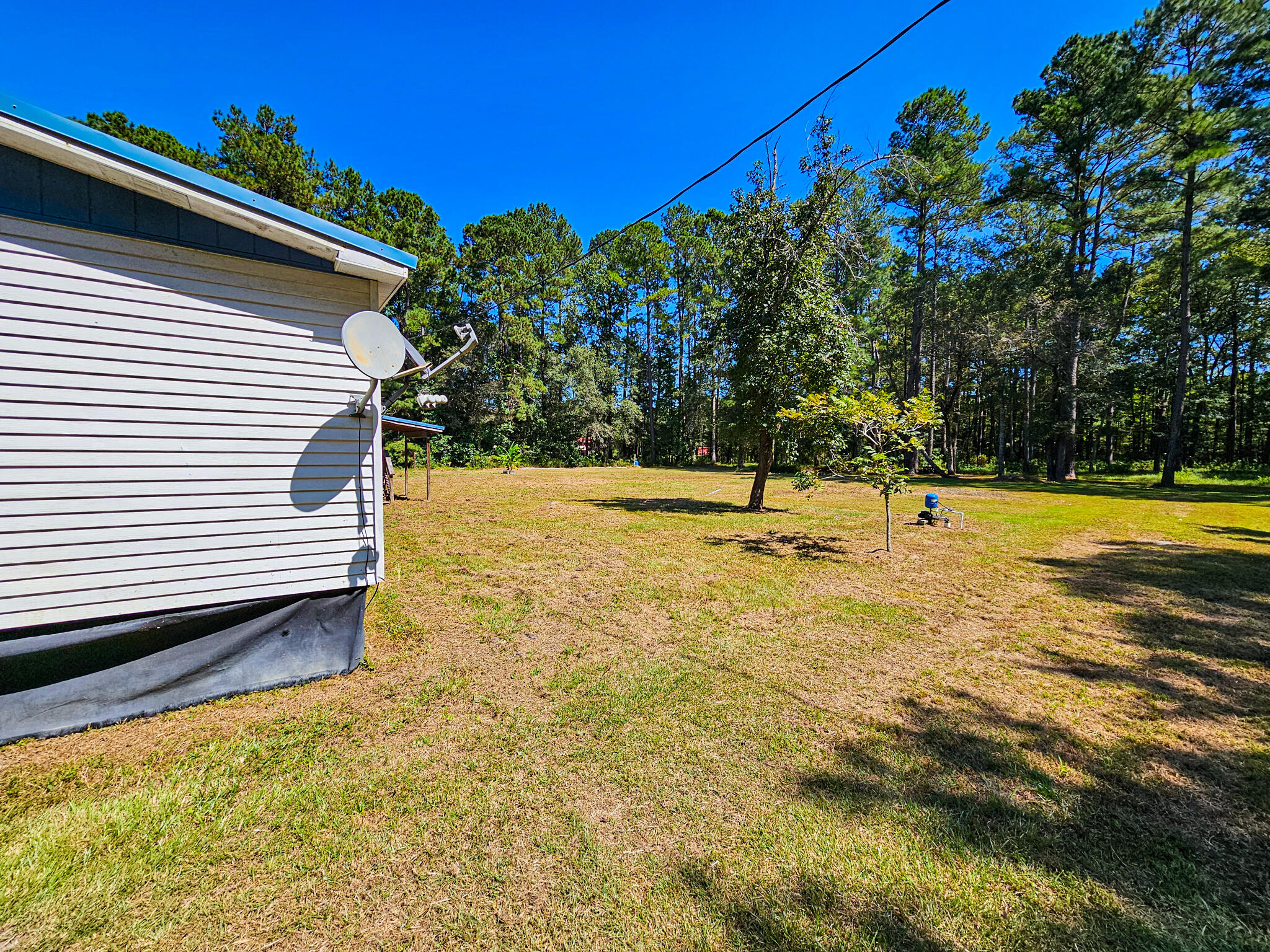 2650 Peirce Road Cottageville, SC 29435 - Photo 3 of 34
