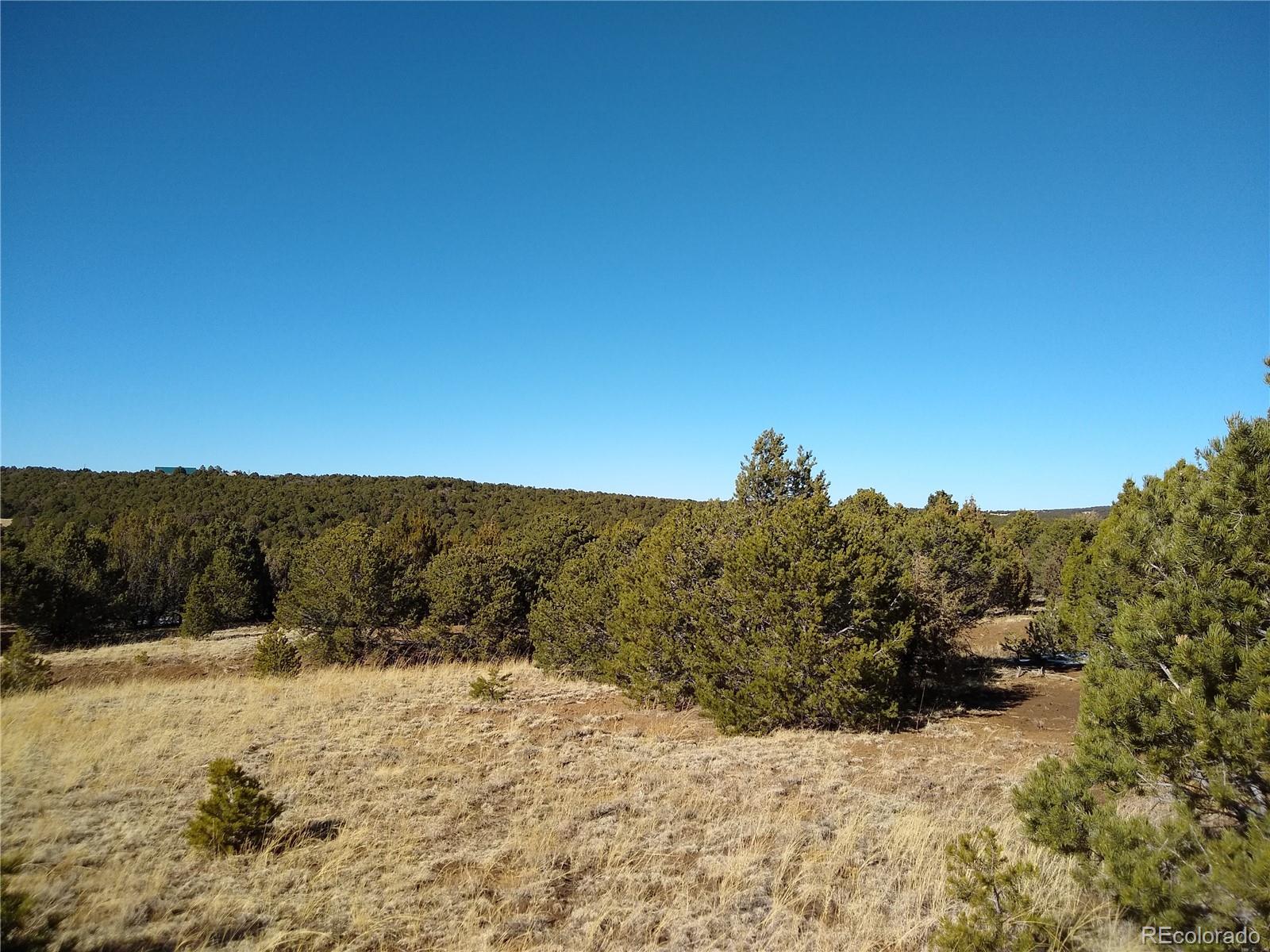 0 Silver Spur Road Walsenburg, CO 81089 - Photo 11 of 30 Gallery Image 11