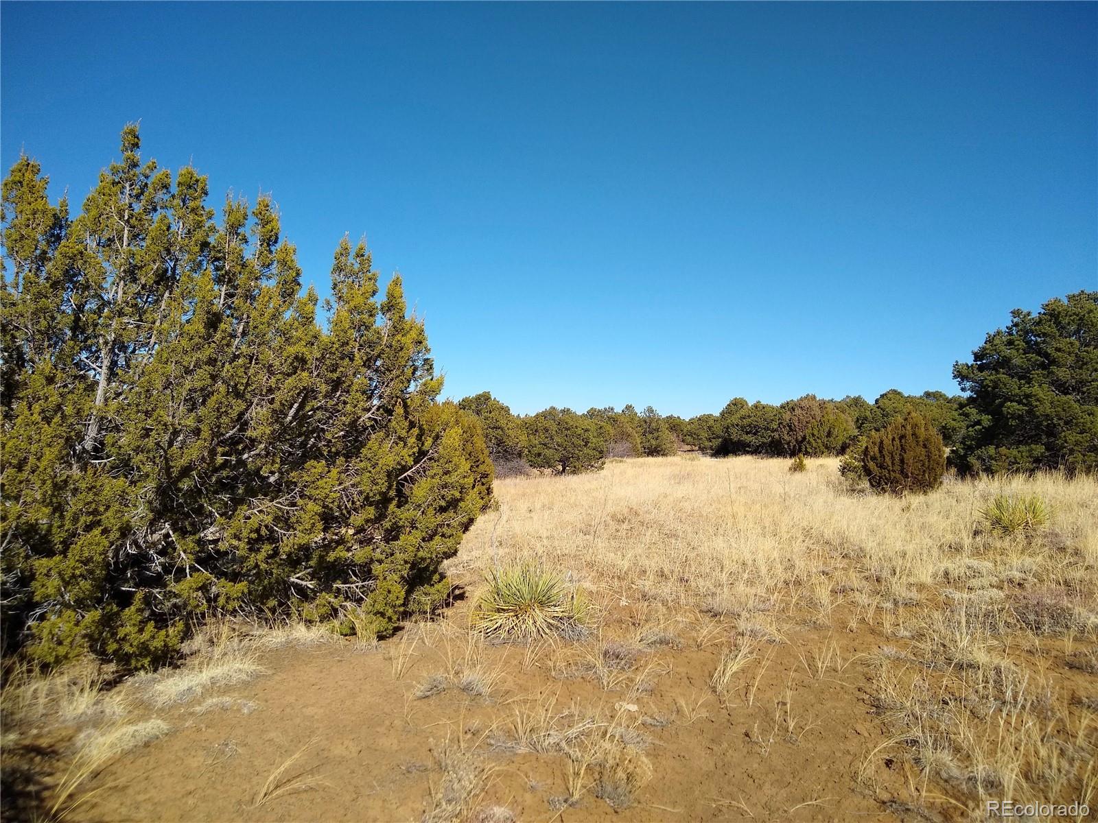 0 Silver Spur Road Walsenburg, CO 81089 - Photo 17 of 30 Gallery Image 17
