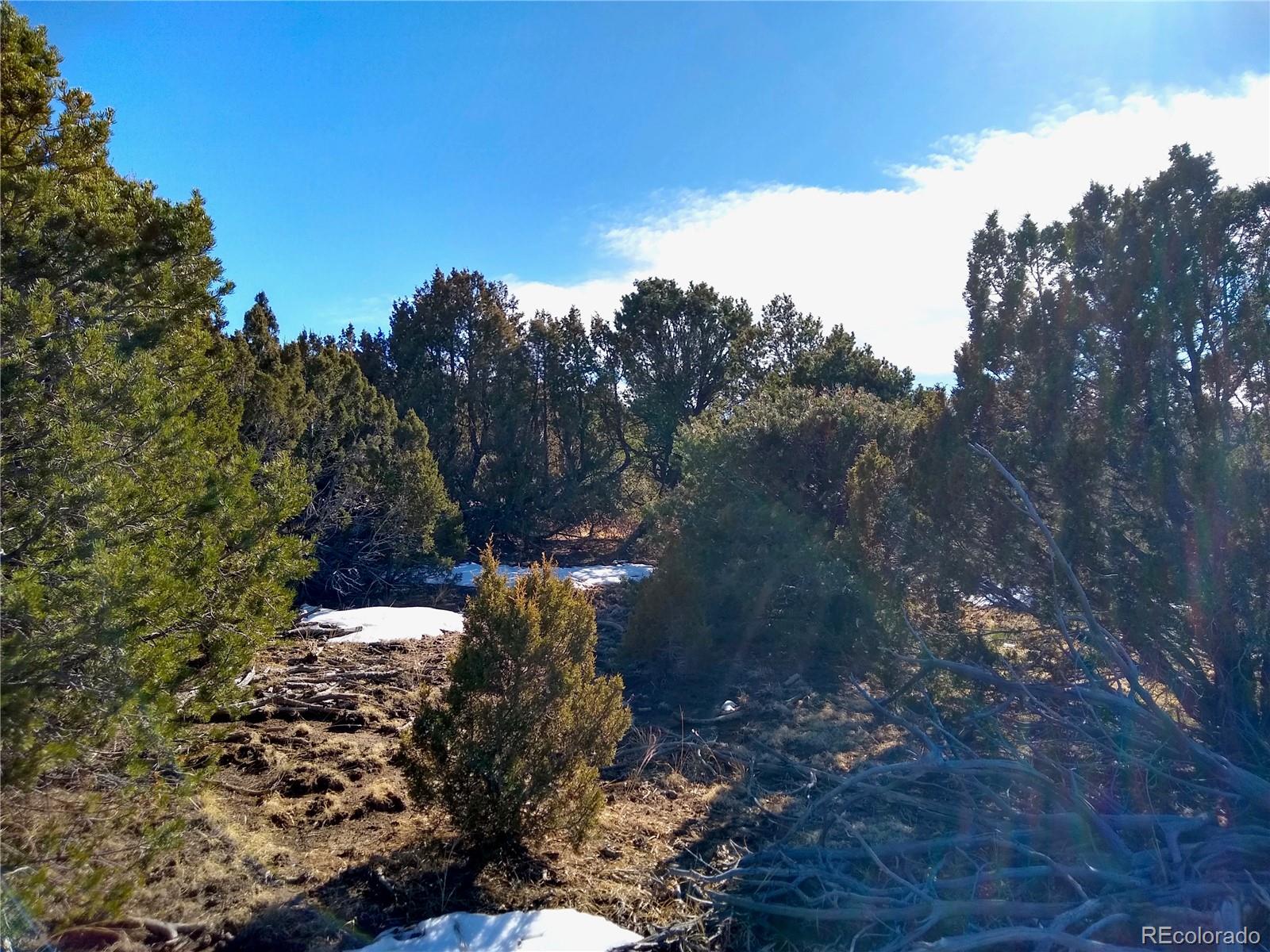 0 Silver Spur Road Walsenburg, CO 81089 - Photo 19 of 30 Gallery Image 19