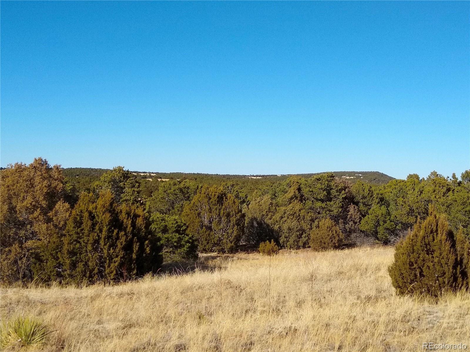 0 Silver Spur Road Walsenburg, CO 81089 - Photo 20 of 30 Gallery Image 20