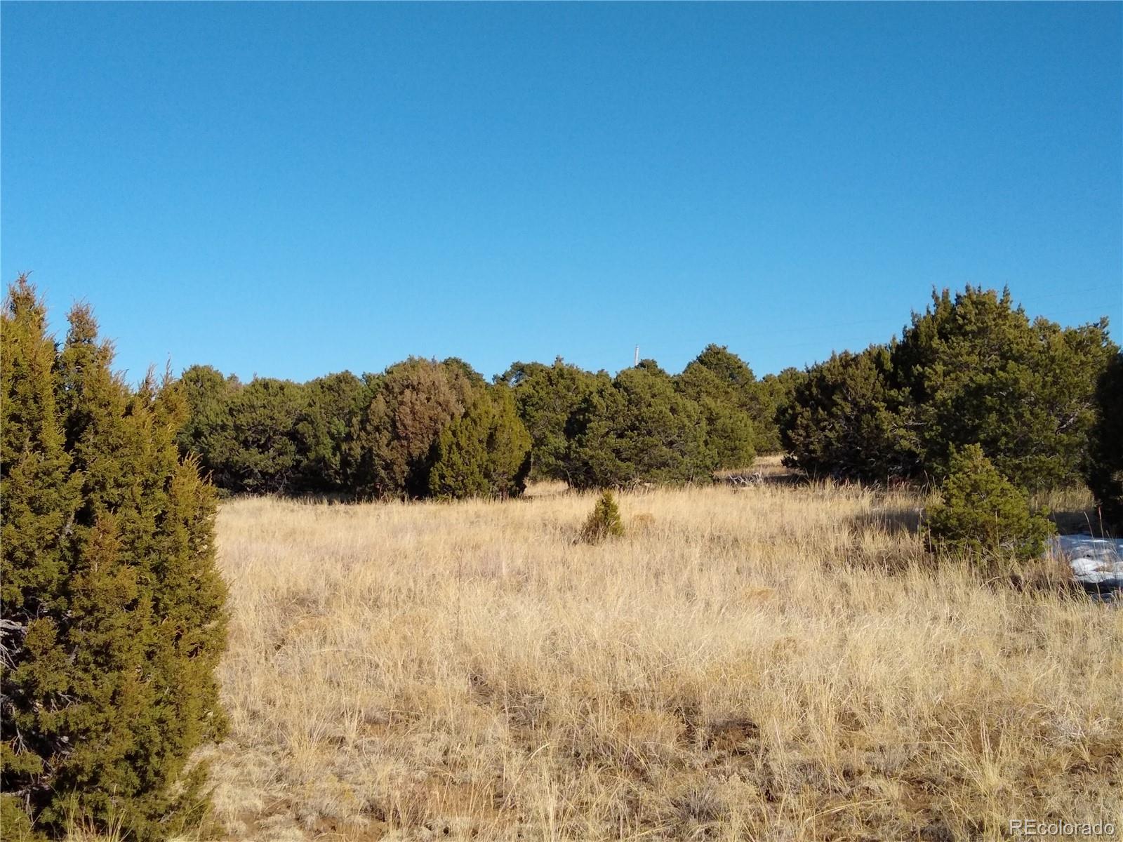 0 Silver Spur Road Walsenburg, CO 81089 - Photo 4 of 30 Gallery Image 4