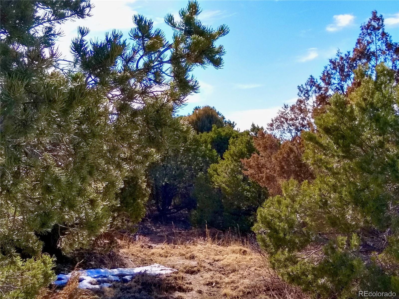 0 Silver Spur Road Walsenburg, CO 81089 - Photo 5 of 30 Gallery Image 5