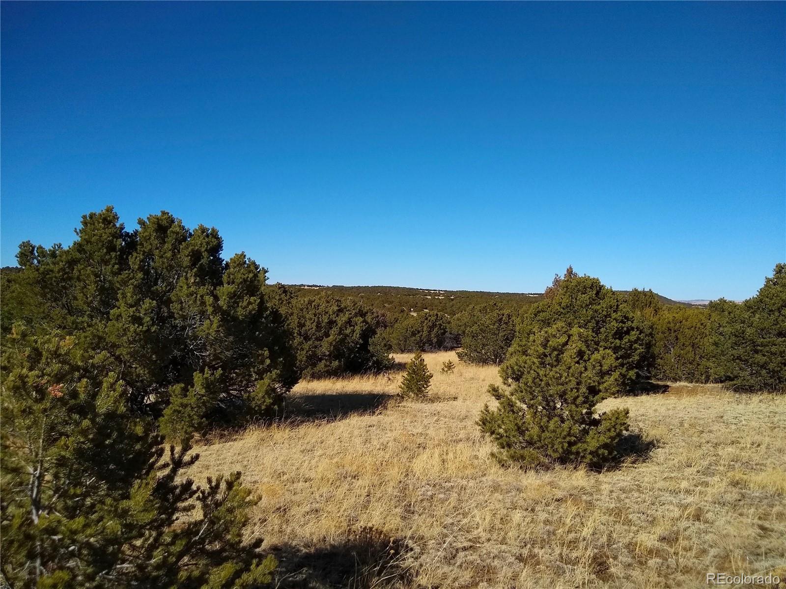 0 Silver Spur Road Walsenburg, CO 81089 - Photo 8 of 30 Gallery Image 8