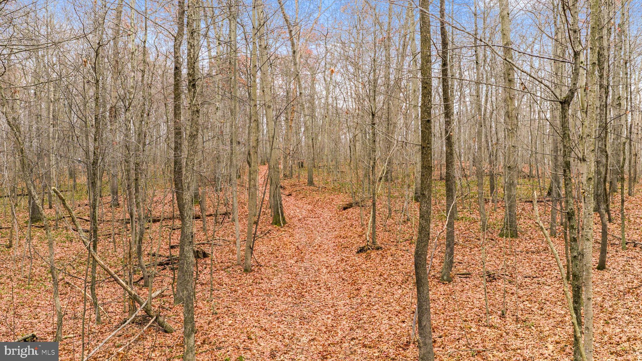 2052 Nelson Mill Road Jarrettsville, MD 21084 - Photo 11 of 22 a bathroom with a shower