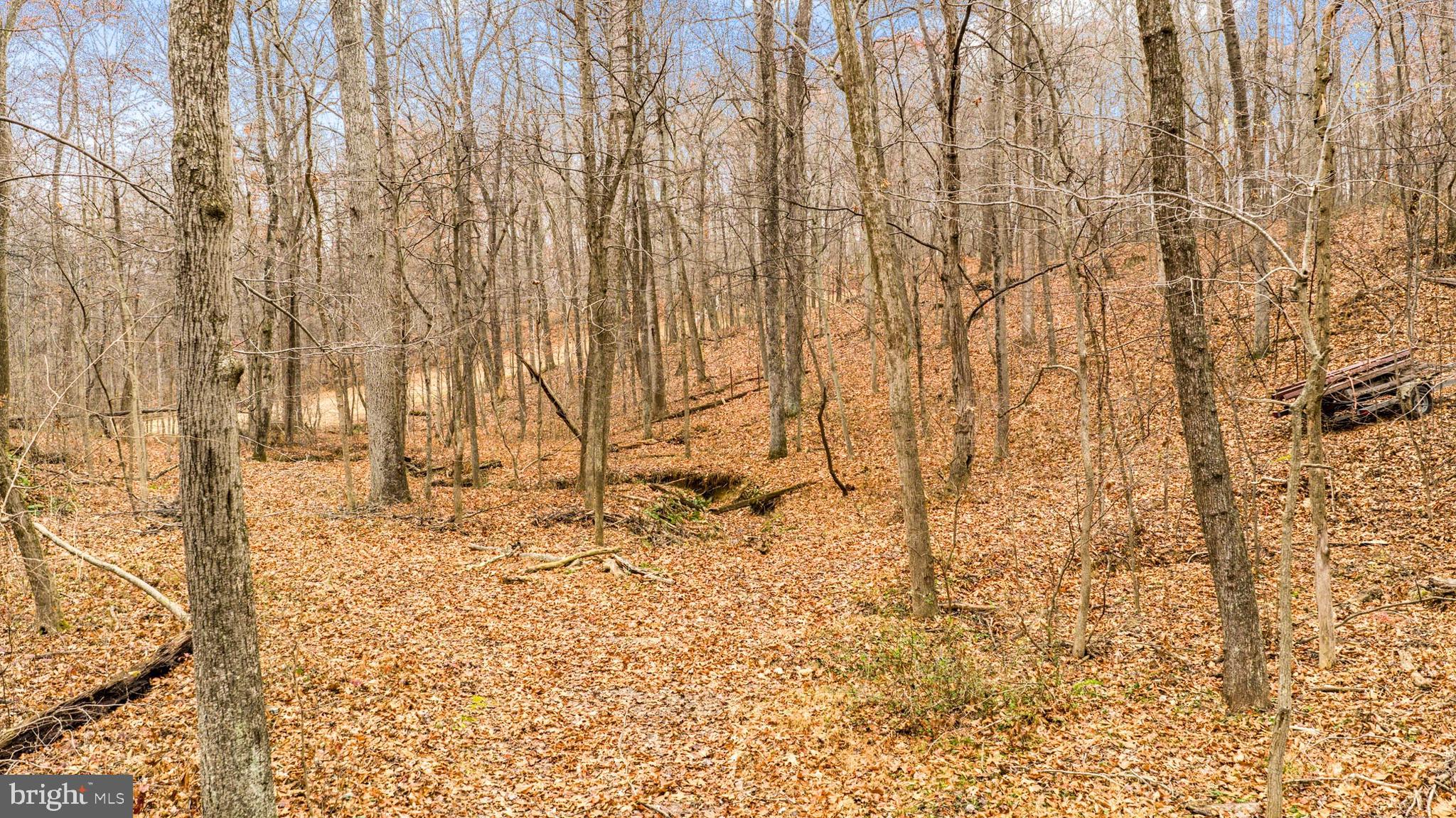 2052 Nelson Mill Road Jarrettsville, MD 21084 - Photo 12 of 22 a bench sitting in middle of a yard