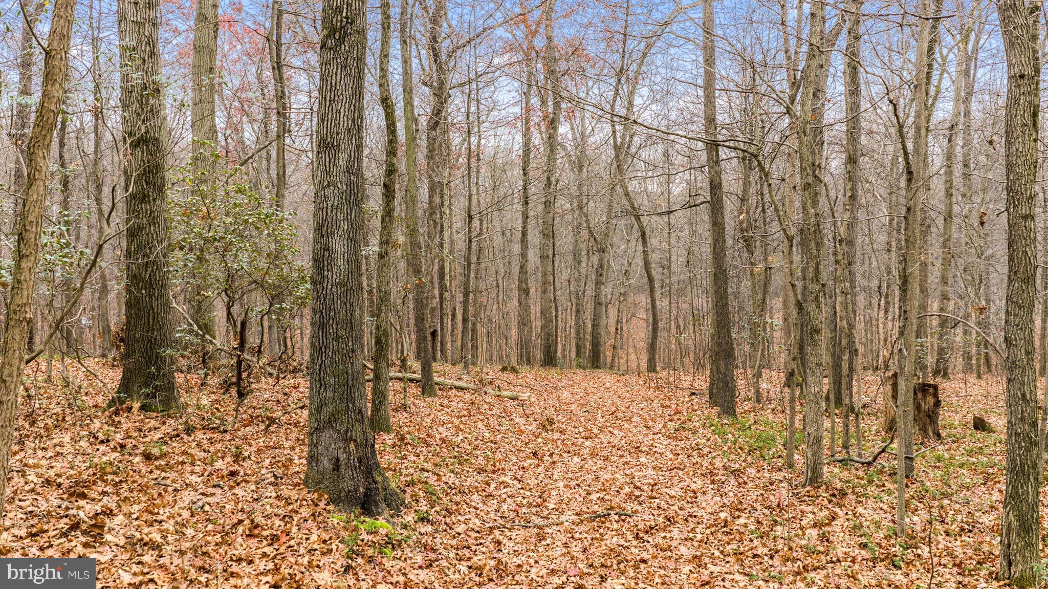 2052 Nelson Mill Road Jarrettsville, MD 21084 - Photo 15 of 22