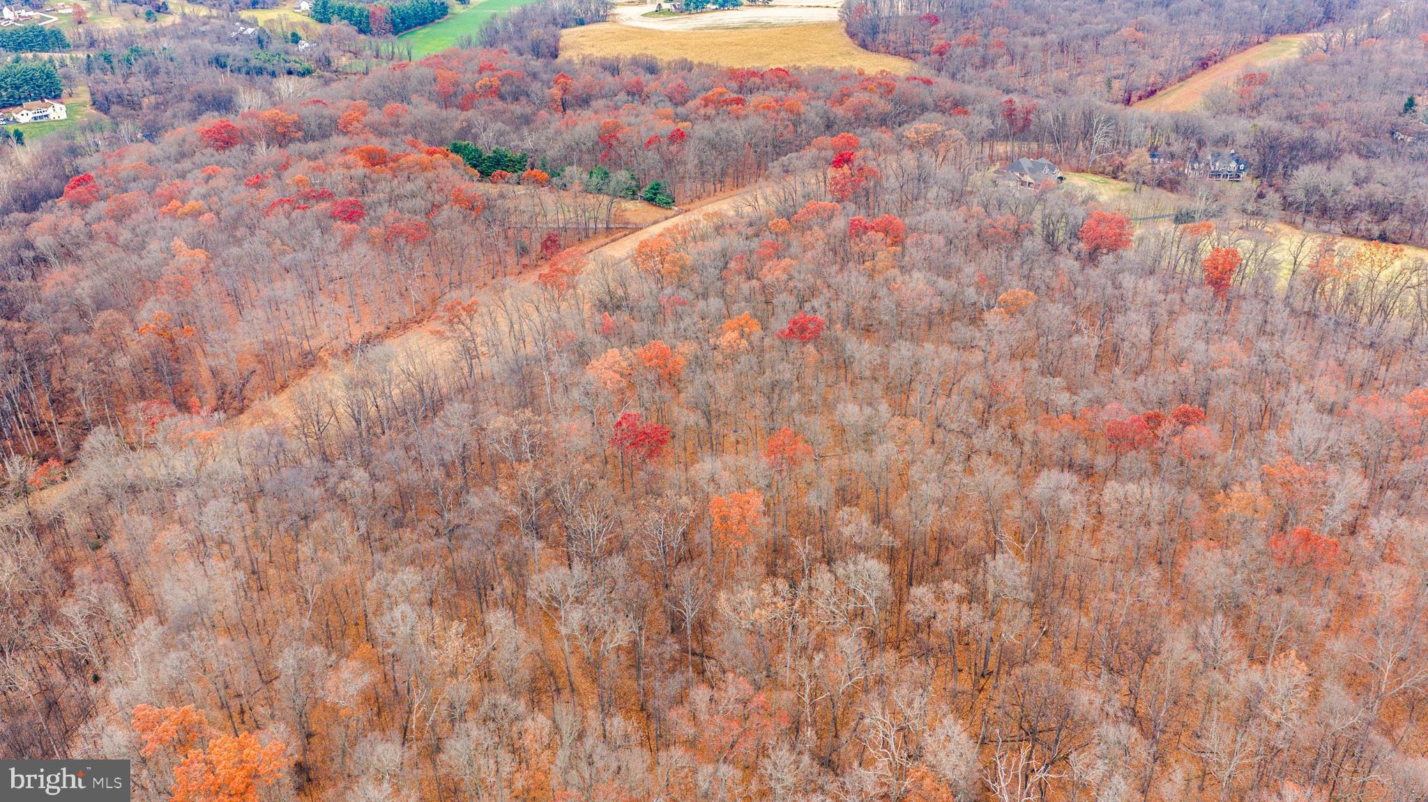 2052 Nelson Mill Road Jarrettsville, MD 21084 - Photo 17 of 22