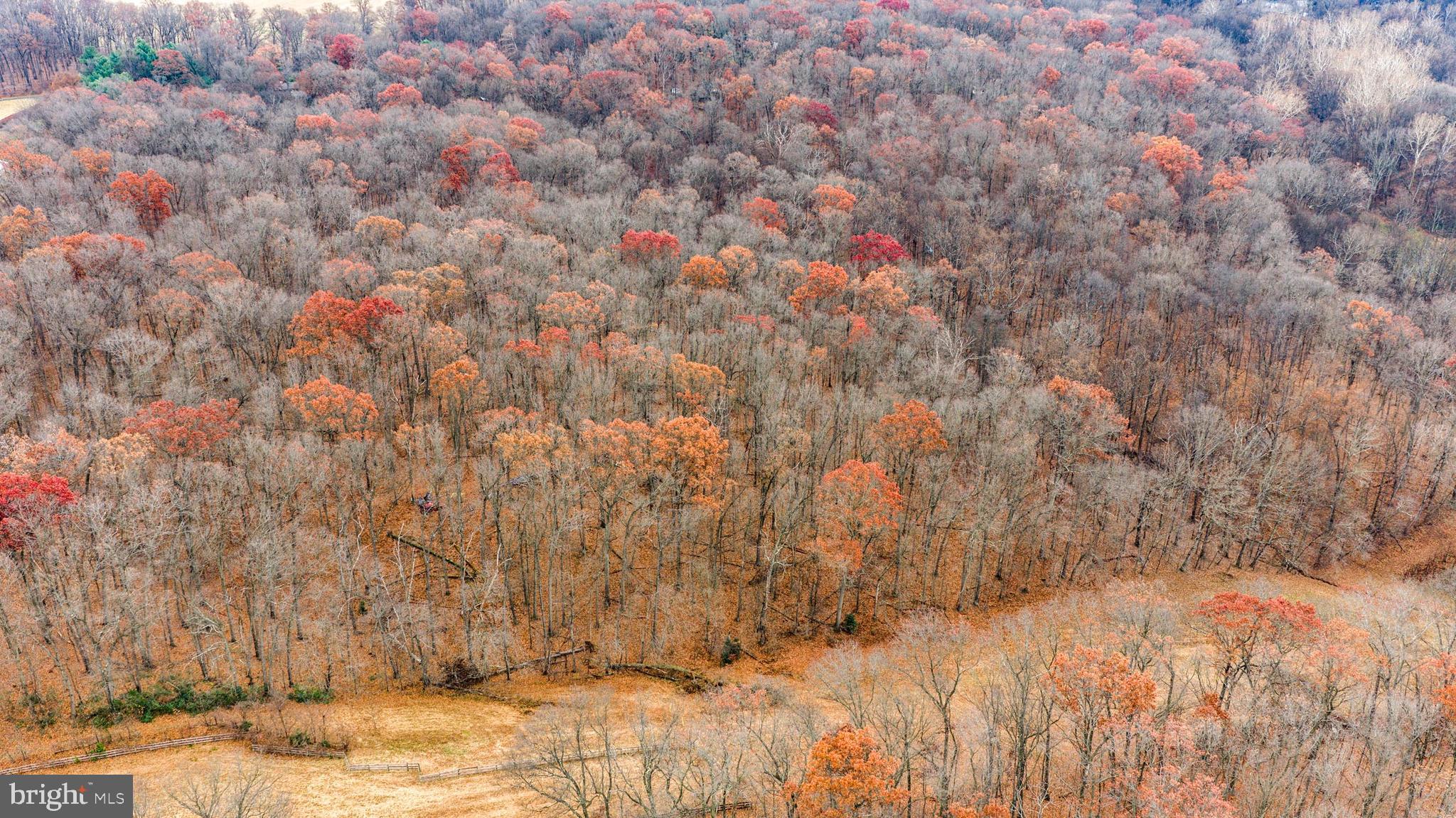 2052 Nelson Mill Road Jarrettsville, MD 21084 - Photo 18 of 22 a view of a dry yard
